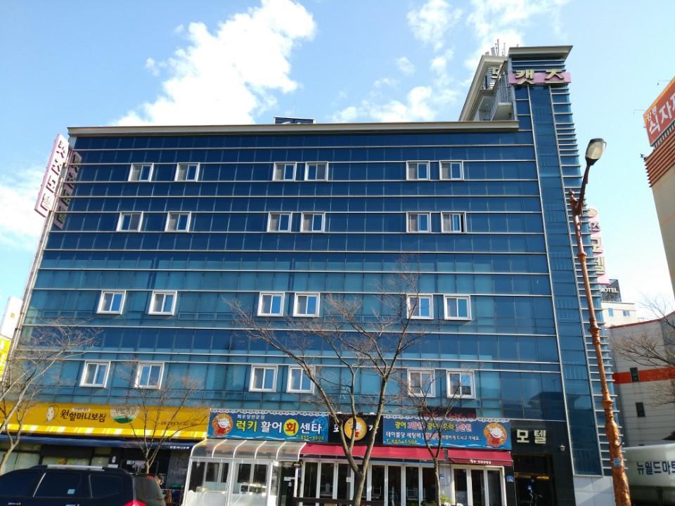 Cats Motel 강릉 외부 사진